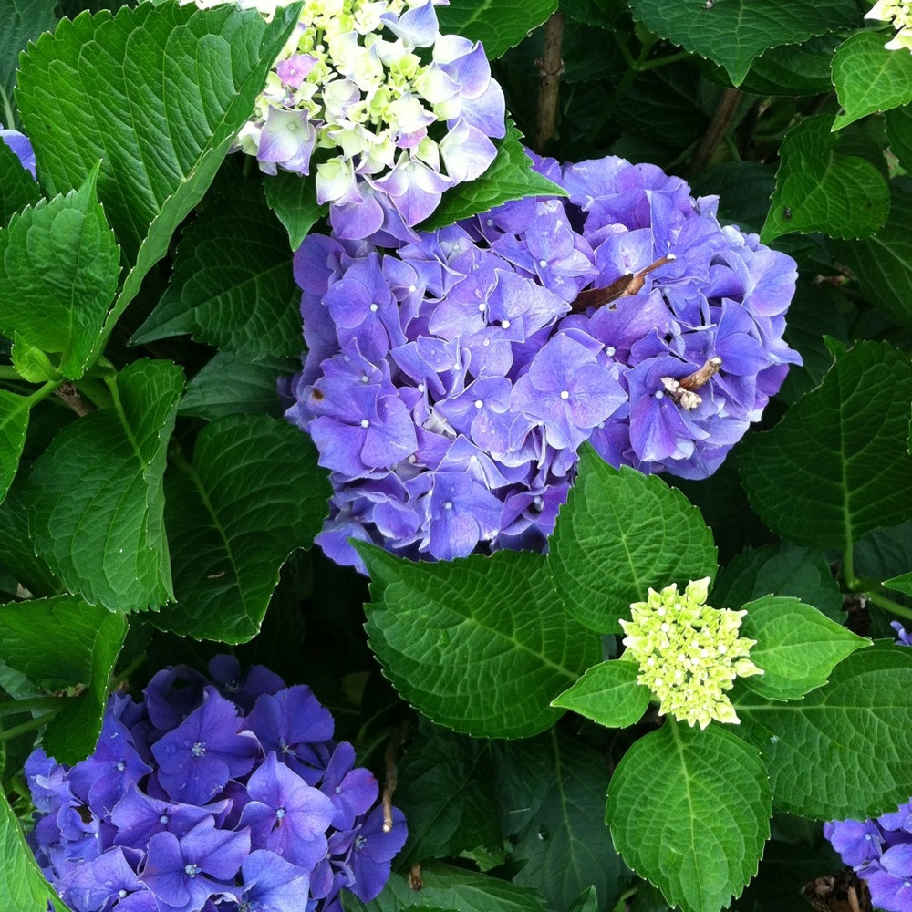 Meet your Posher, Rebecca